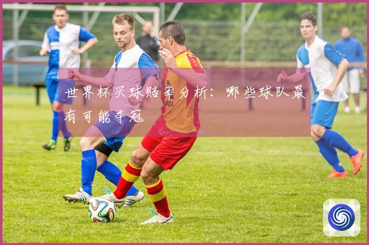 世界杯买球赔率分析：哪些球队最有可能夺冠