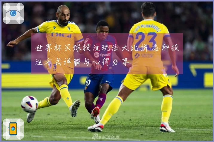 世界杯买球投注玩法大比拼 各种投注方式详解与心得分享