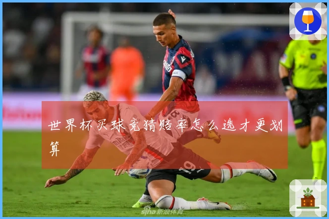 世界杯买球竞猜赔率怎么选才更划算