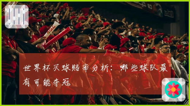 世界杯买球赔率分析：哪些球队最有可能夺冠